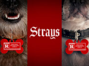 Universal Delays “Strays” to August